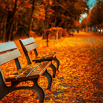 一键问题诊断的网站攻击器