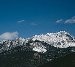 服务器攻击软件